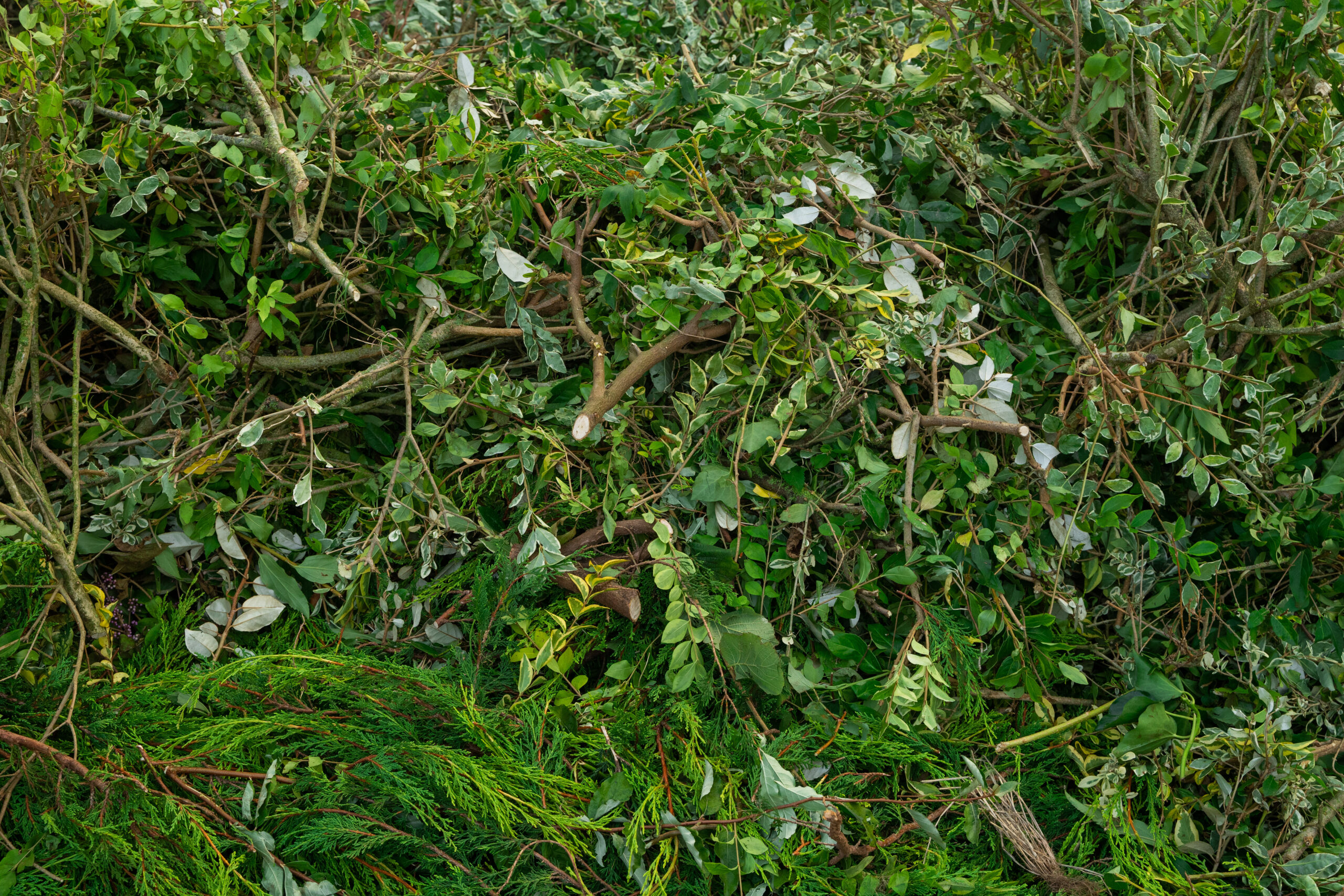 Tuinafval afvoeren | Groenafval | Afvalcontainerbestellen.nl