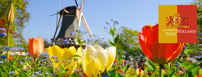 Container huren Zuid-Holland | Afvalcontainer bestellen