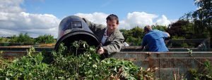 Voer groenafval deze lente voordelig af | Afvalcontainerbestellen.nl