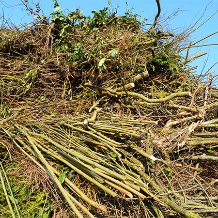 Groenafval afvoeren met een groenafval container