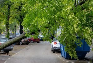 container huren bij stormschade