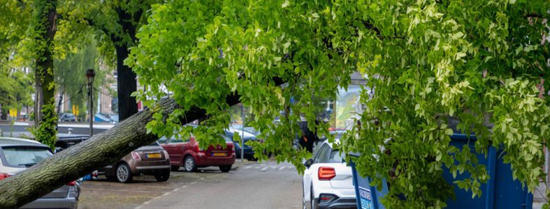 container huren bij stormschade