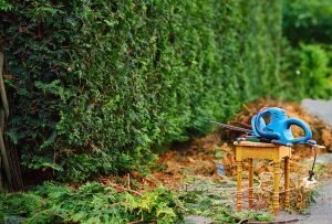 tuin snoeien en winterklaar maken