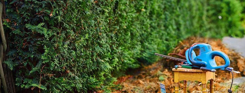 tuin snoeien en winterklaar maken