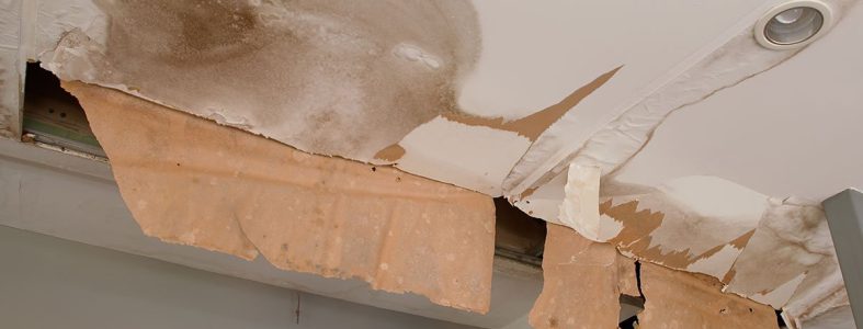 container huren bij waterschade