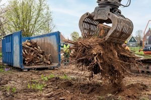 boomstronken en wortels afvoeren met container